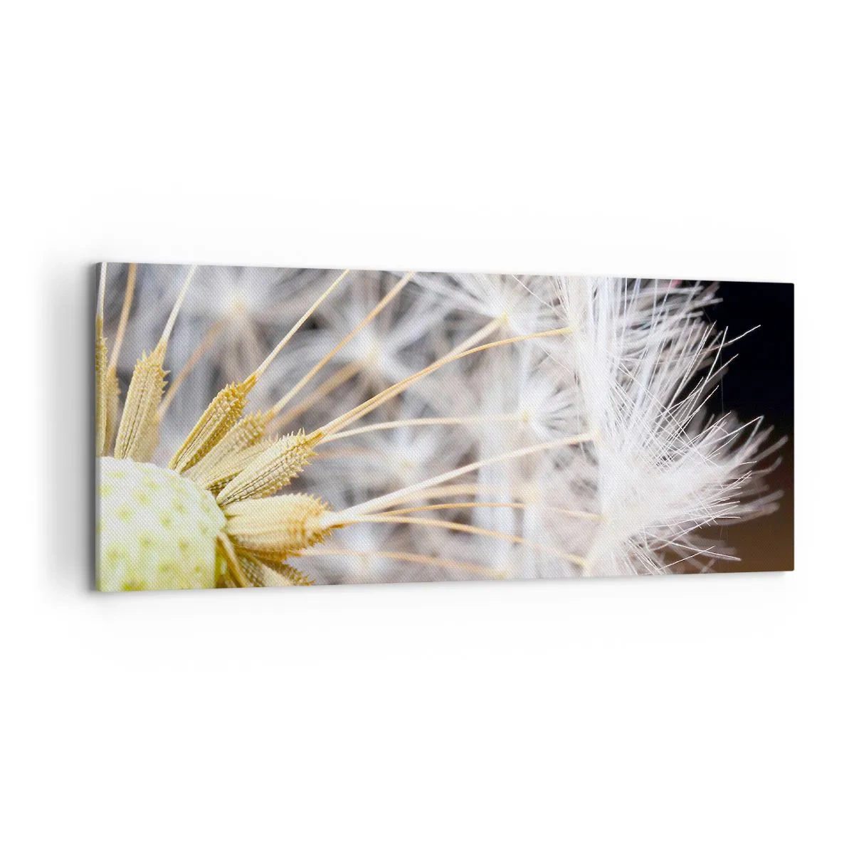 Canvas picture - Just before the Takeoff - 120x50 cm