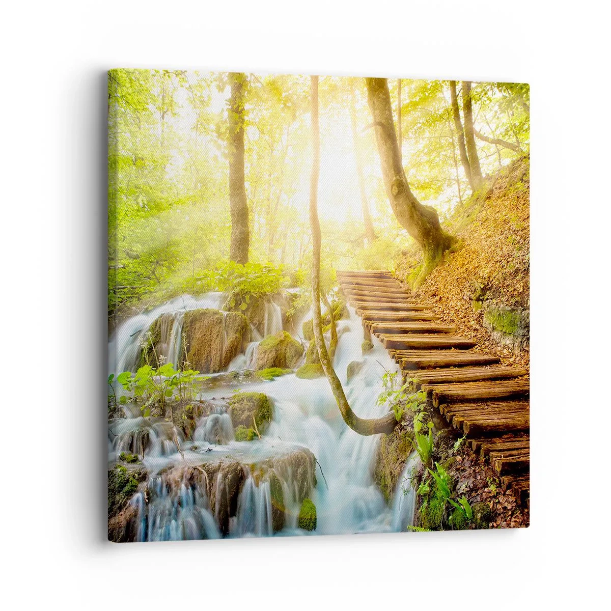 Canvas picture - Long Awaited Coolness - 30x30 cm