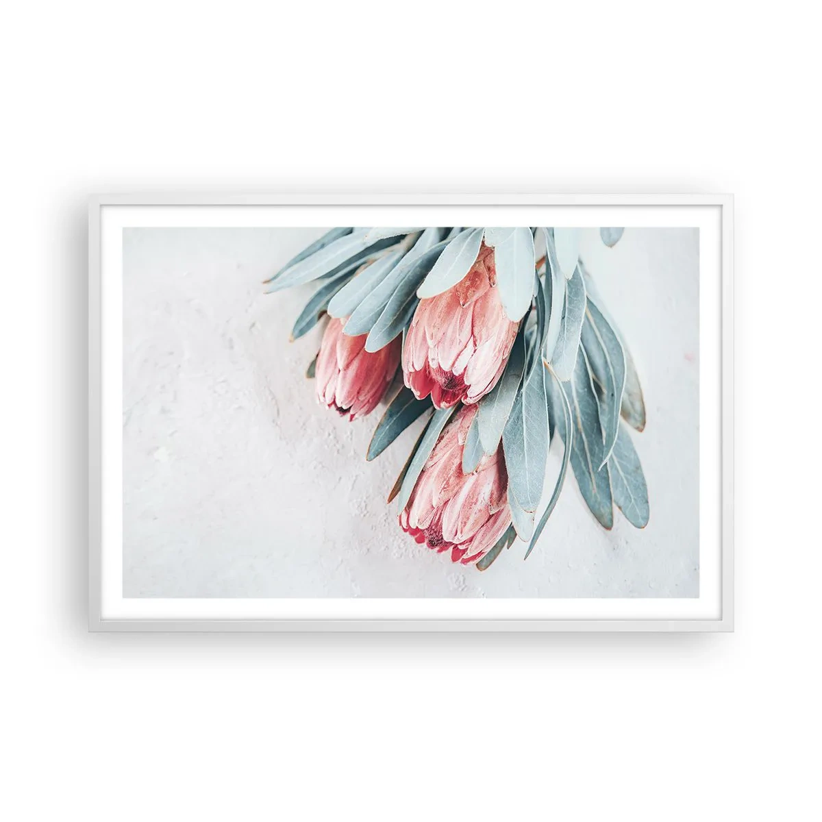 Poster in white frmae - Ashamed of Their Own Beauty - 91x61 cm