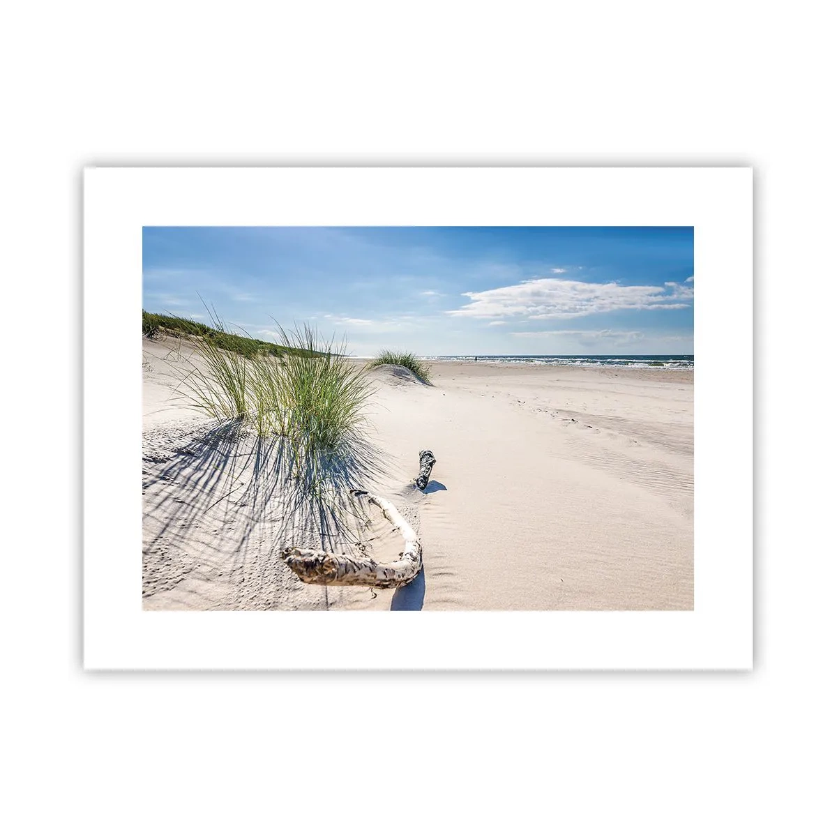 Poster - The Most Beautiful? Baltic One - 40x30 cm