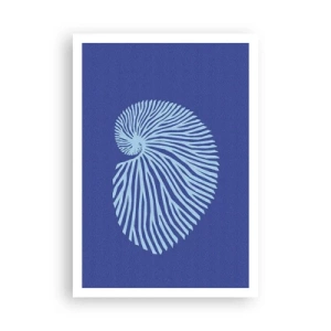 Poster - Birth of a Shell - 70x100 cm