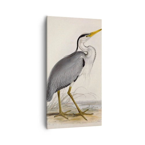 Canvas picture - Charm of a Heron - 55x100 cm