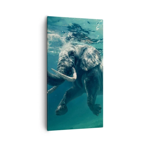 Canvas picture - Everyone Likes to Swim - 55x100 cm