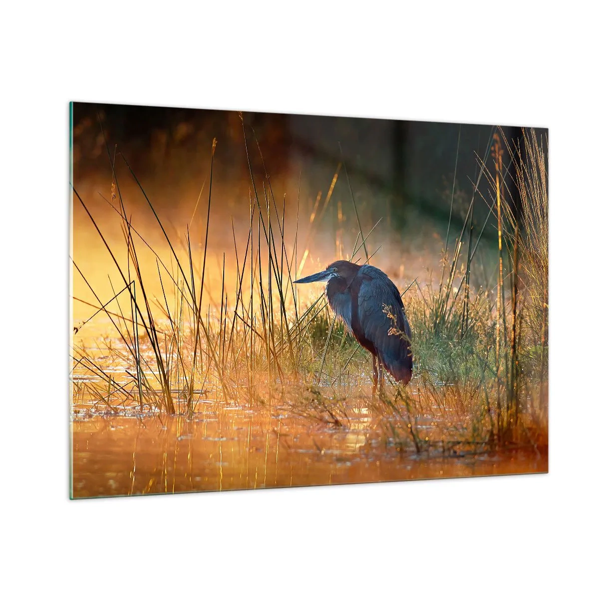 Glass picture - Stop Taking Pictures - 100x70 cm