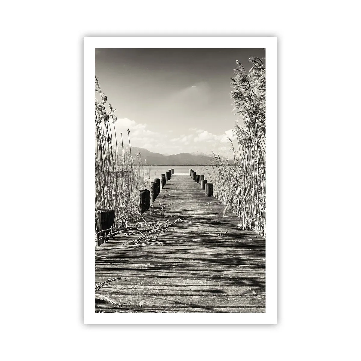 Poster - In the Grass - 61x91 cm