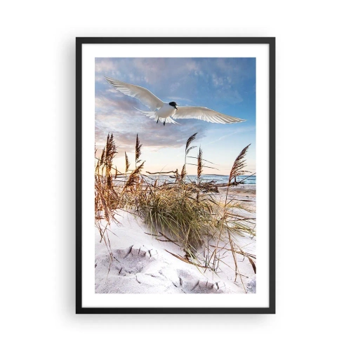 Poster in black frame - A bird in flight over the dunes and sea at sunset - 50x70cm - Wind from the Sea - Modern wall decoration for the living room and bedroom ARTTOR