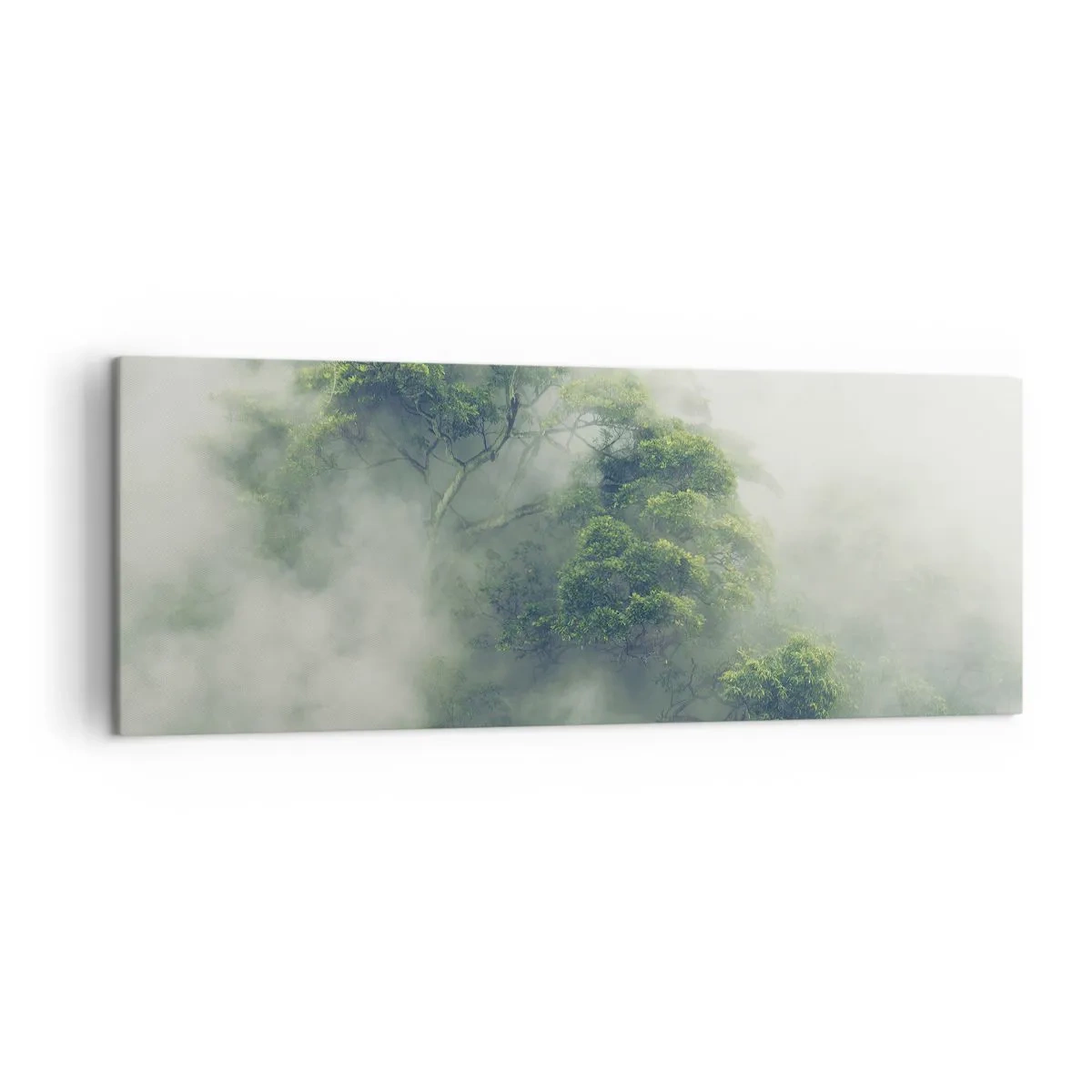 Canvas picture - Wrapped In Fog - 140x50 cm