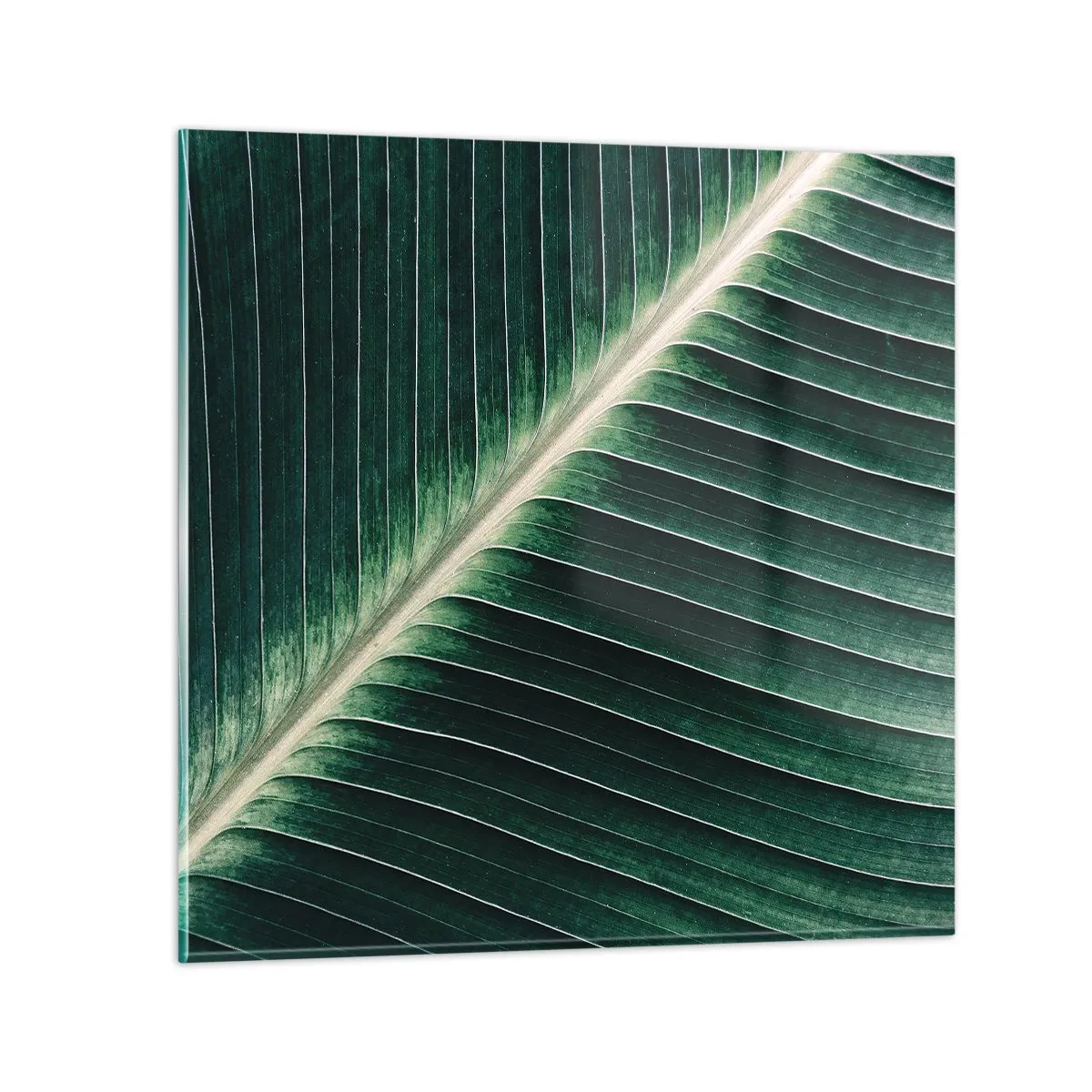 Glass picture - Rhythm of Nature - 70x70 cm
