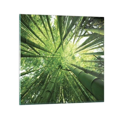Glass picture - In a Bamboo Forest - 60x60 cm