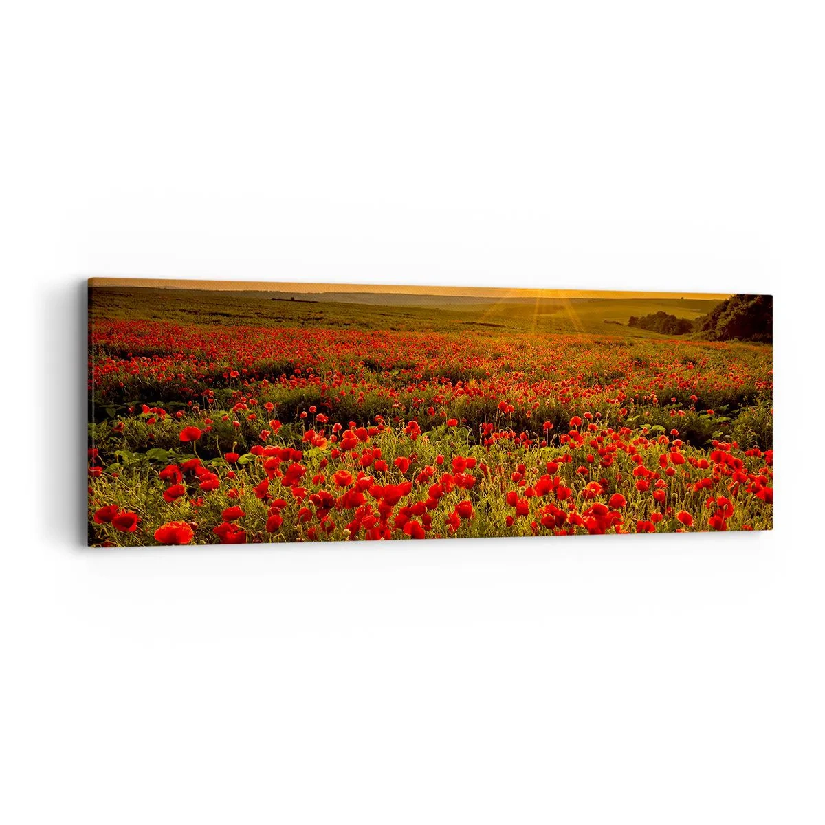 Canvas picture - In the Meadow, among Flood of Flowers - 90x30 cm