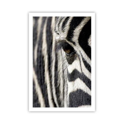 Poster - Striped Portrait - 61x91 cm