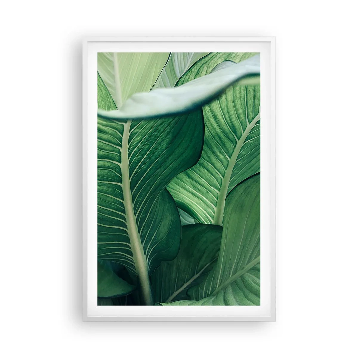 Poster in white frmae - Life in Intense Green Colour - 61x91 cm