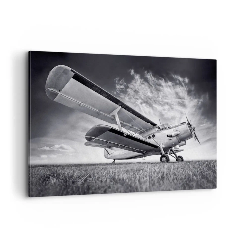 Canvas picture - Winged Pilgrim - 100x70 cm