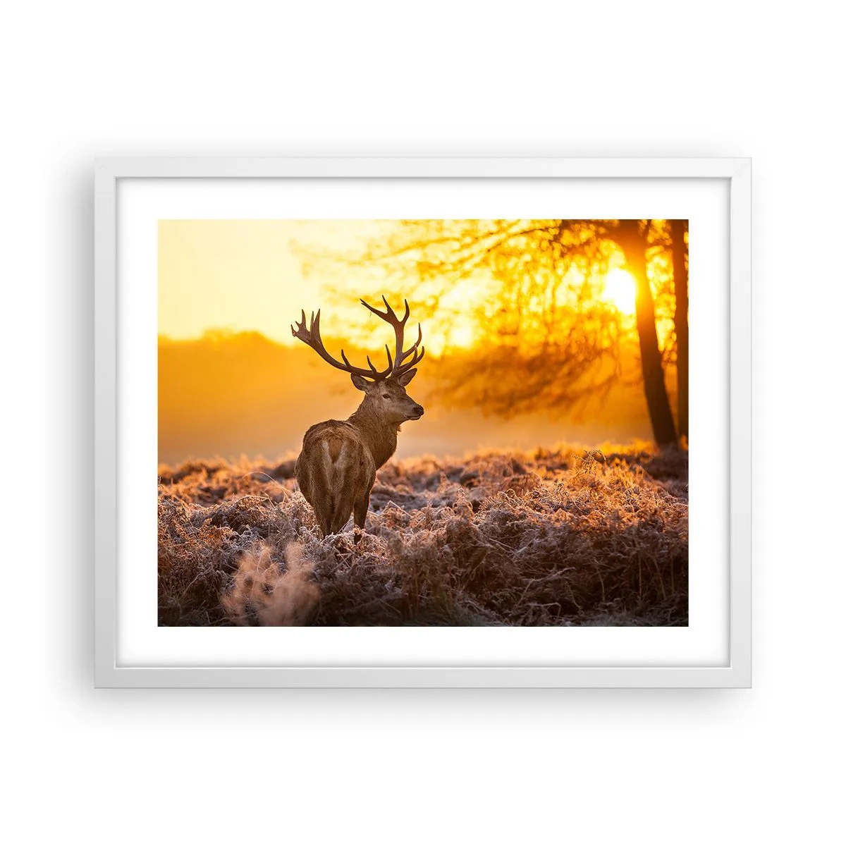 Poster in white frmae - King of Autumnal Forest - 50x40 cm