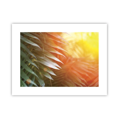 Poster - Morning in the Jungle - 40x30 cm
