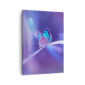 Canvas picture - Jewel of Nature - 50x70 cm