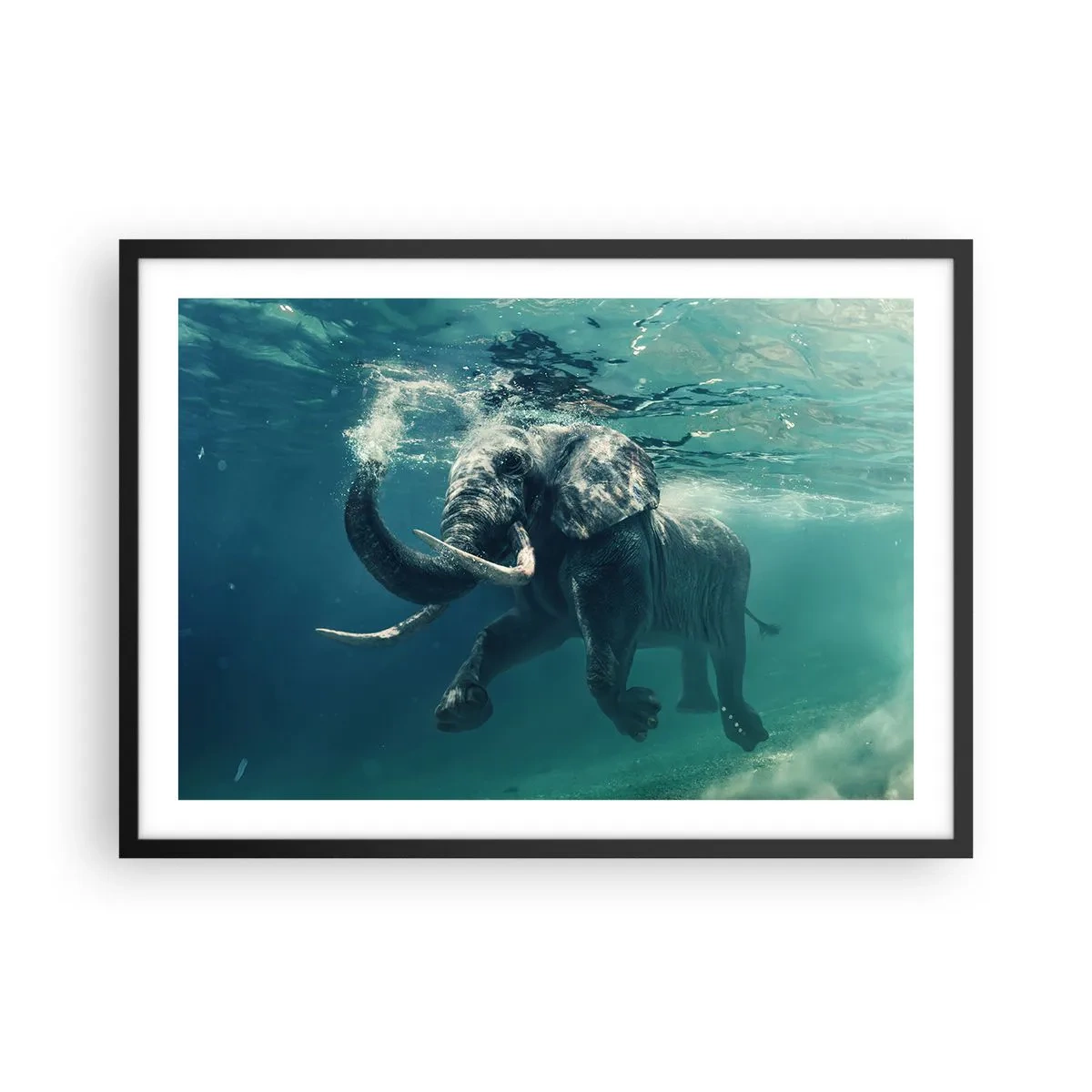 Poster in black frame - Everyone Likes to Swim - 70x50 cm
