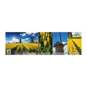 Photo Wallpaper Sample Standard Eco - It Can't Be More Dutch - Landscape, Fan, Tulips - 100x30 cm