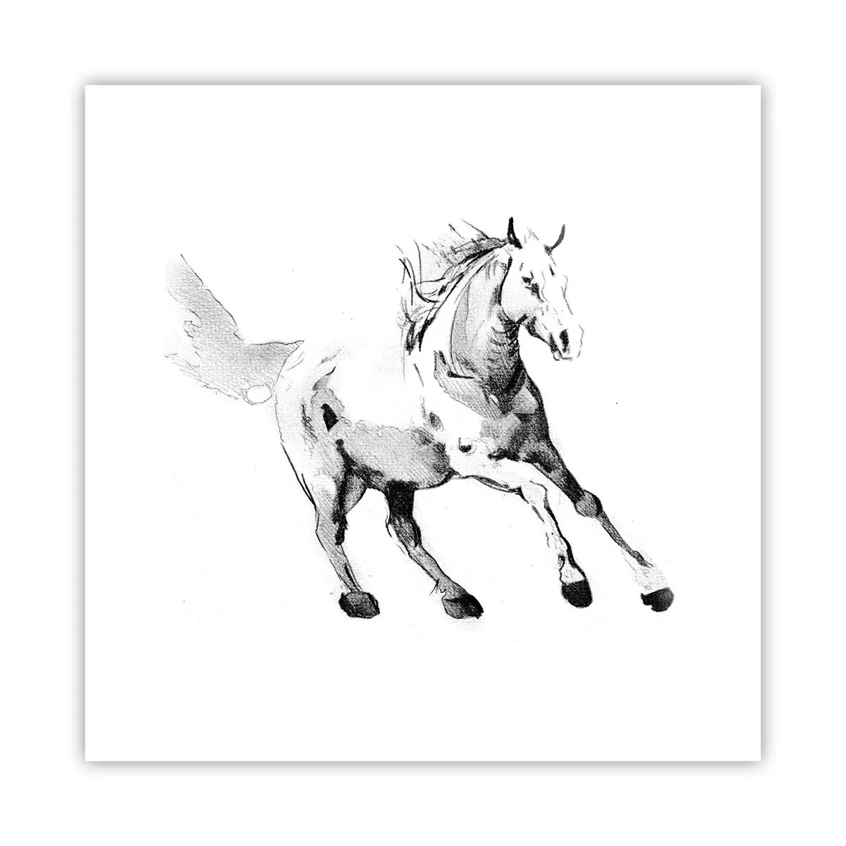 Poster - Untamed Soul - 30x30 cm