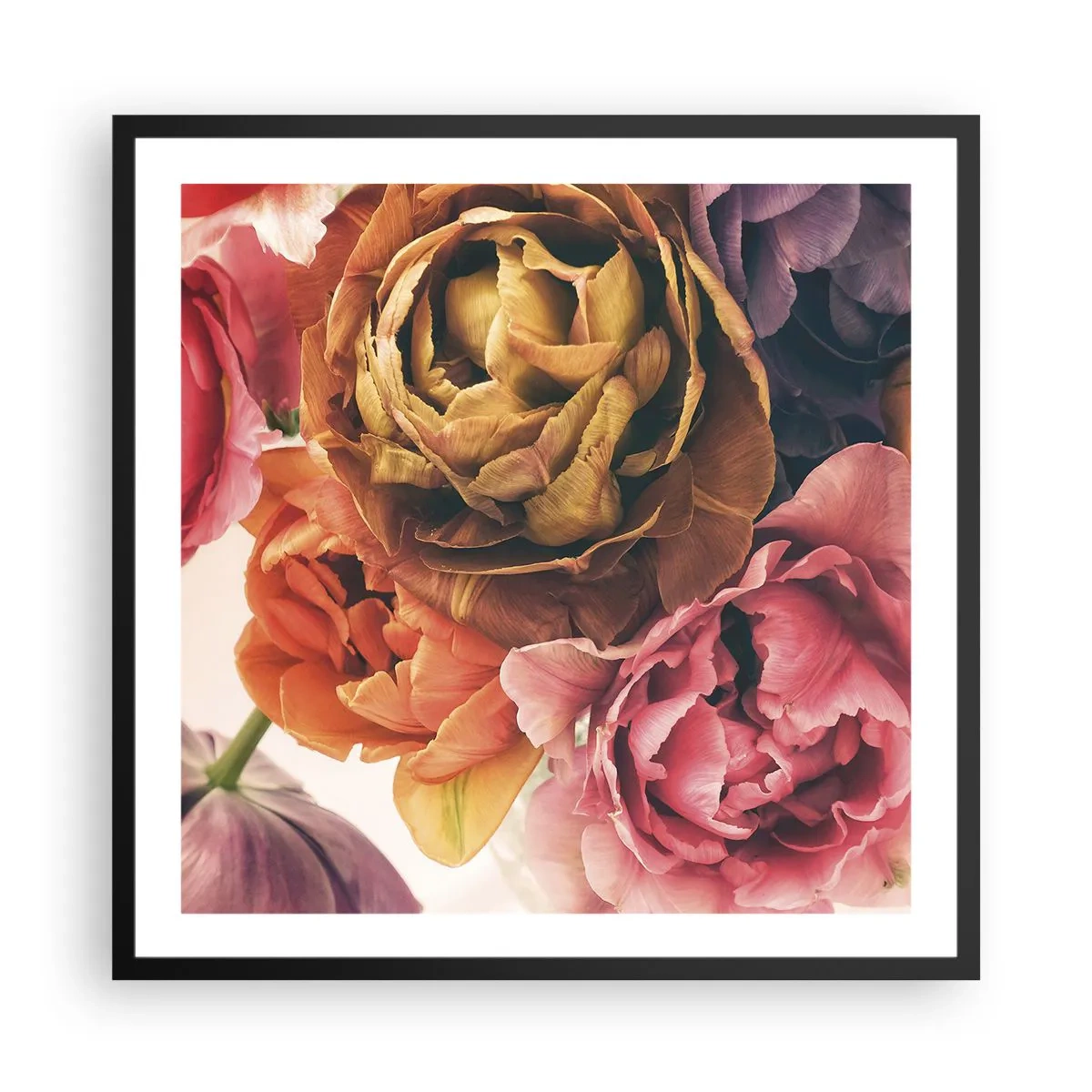 Poster in black frame - Celebration of Life - 60x60 cm