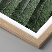 Light Oak