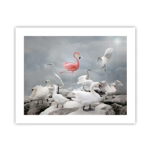 Poster - Where Did I Come from? - 50x40 cm