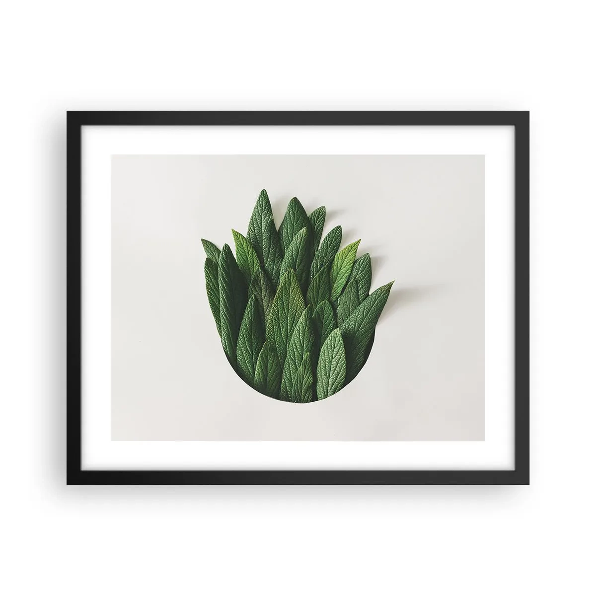 Poster in black frame - Untamed Curiosity - 50x40 cm