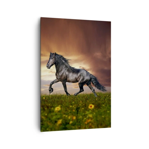 Canvas picture - Black Prince - 70x100 cm