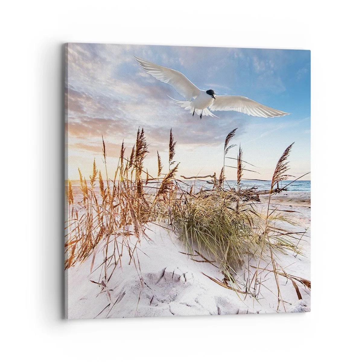 Canvas picture - Wind from the Sea - 70x70 cm