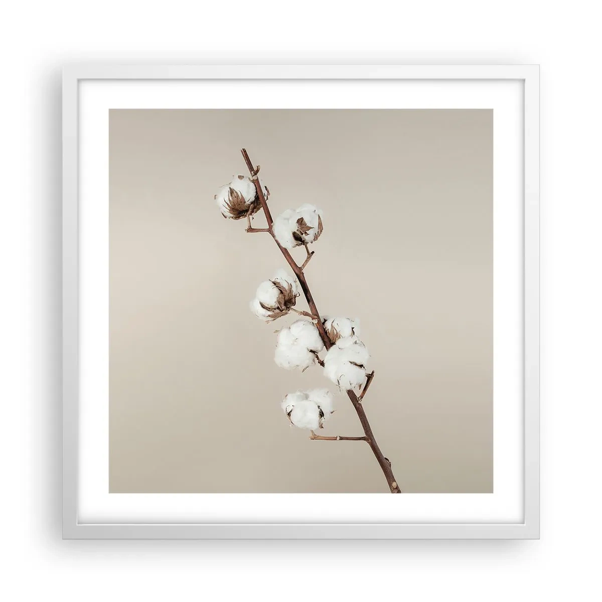 Poster in white frmae - At the Heart of Softness - 50x50 cm