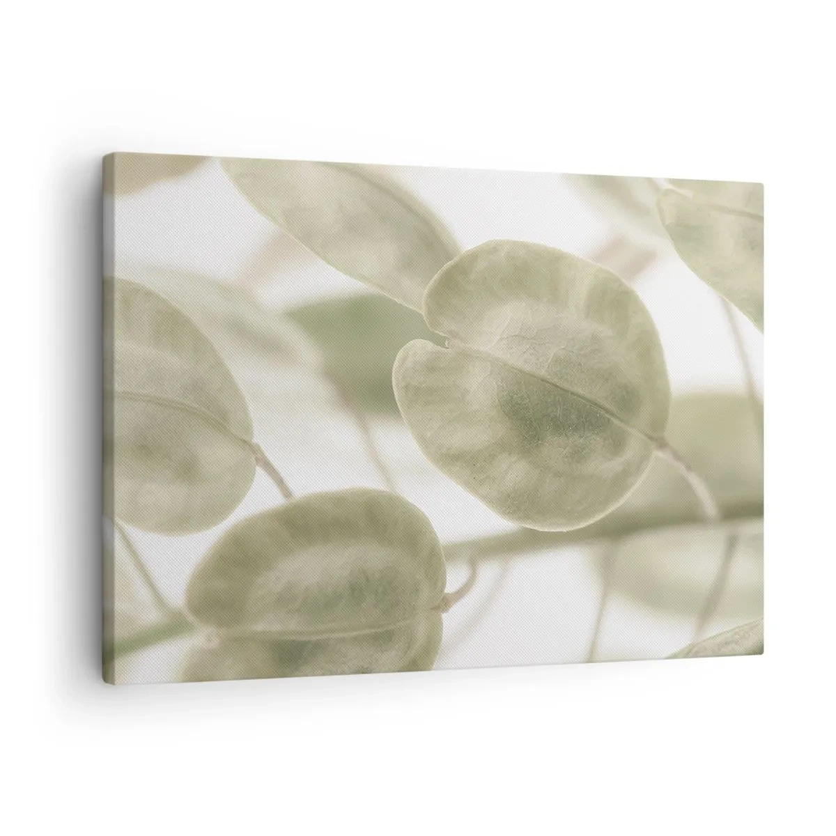 Canvas picture - delicate painting of leaves in pastel shades of green on a light background. - 70x50cm - In the Beginning There Were Leaves… - Modern wall decoration for the living room and bedroom ARTTOR
