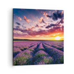 Canvas picture - Lavender World - 60x60 cm