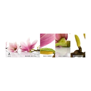 Photo Wallpaper Sample Standard Eco - Delicate Like a Spring Breeze - Flower, Magnolia, Nature - 100x30 cm