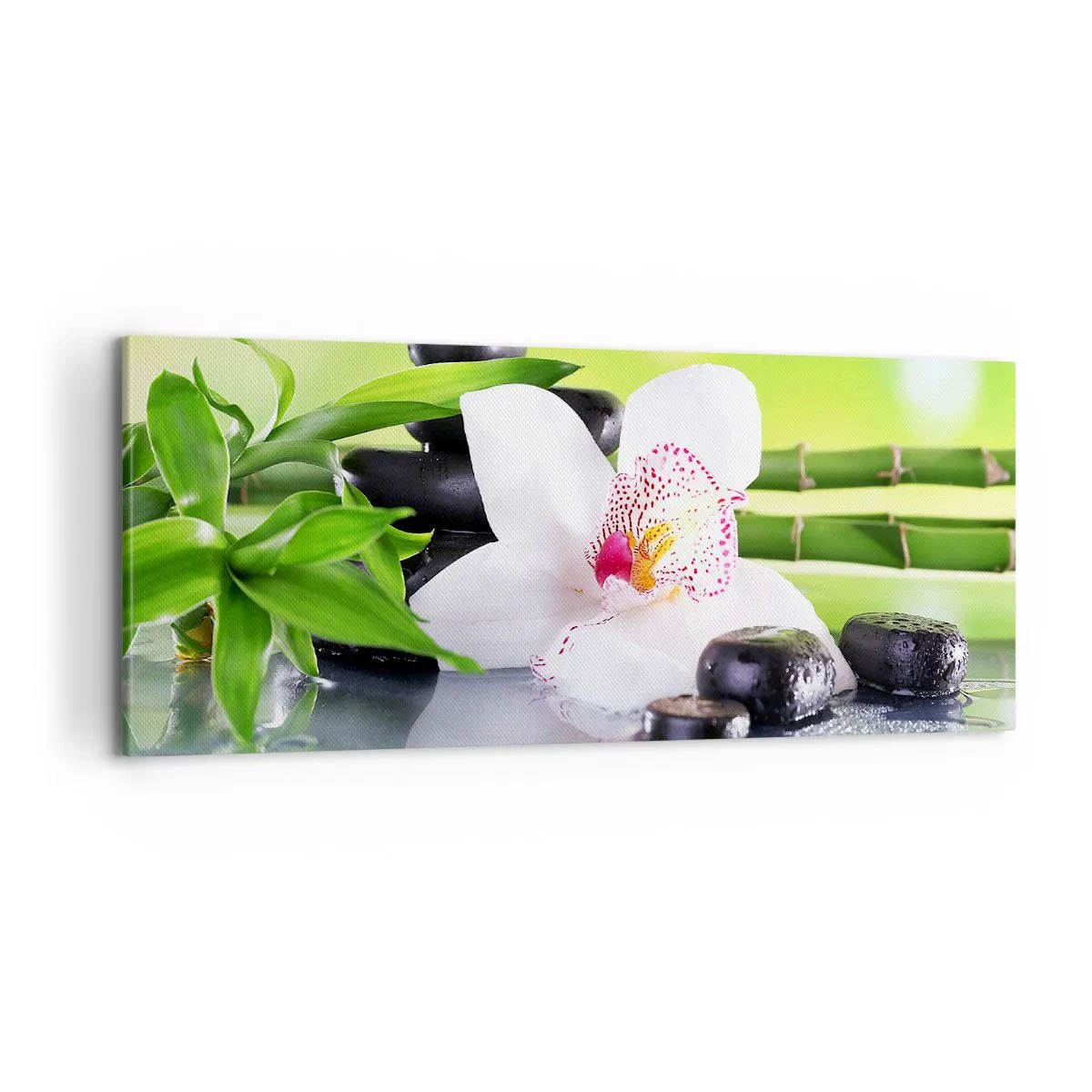 Canvas picture - Cool Freshness - 100x40 cm