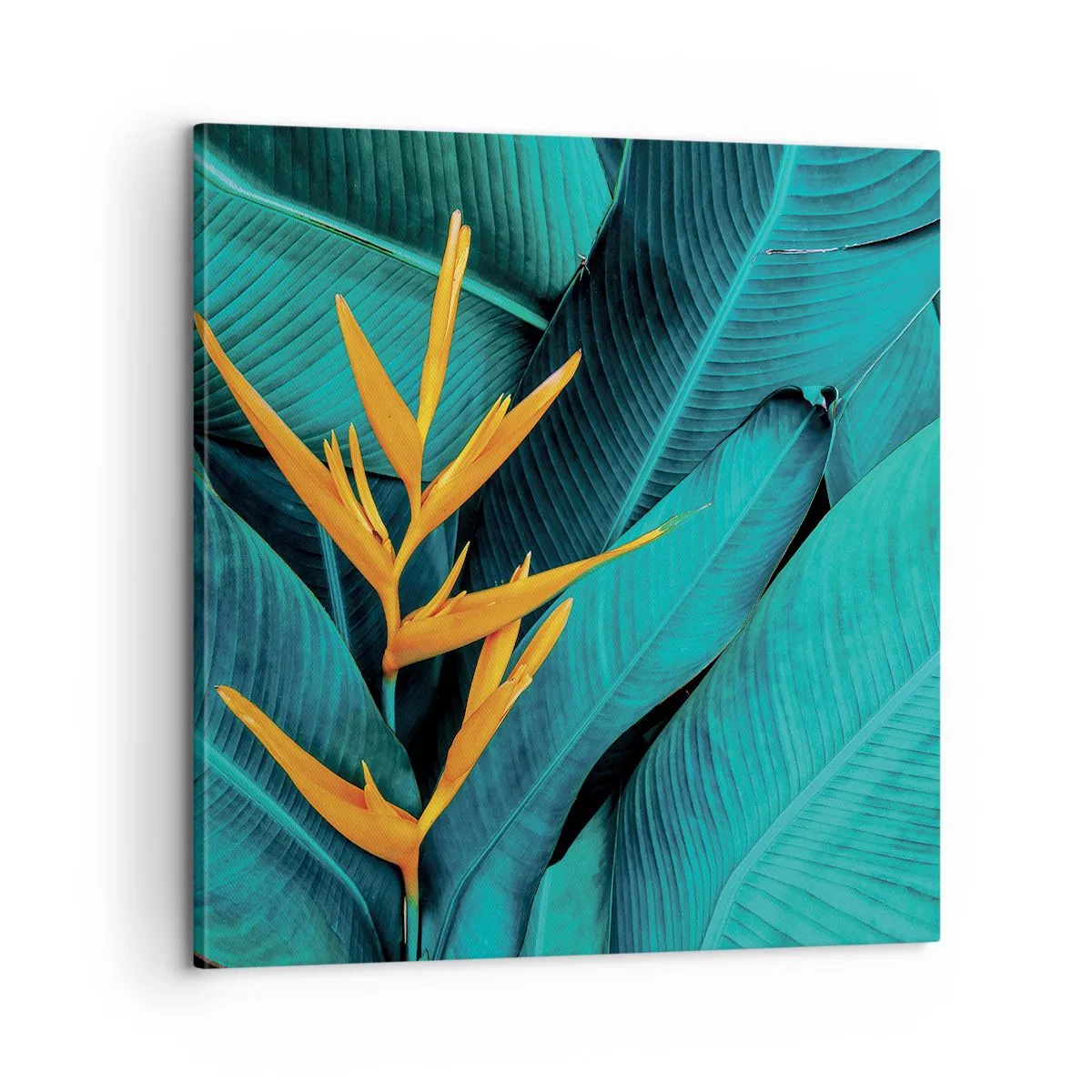 Canvas picture - Flower of Eden - 60x60 cm