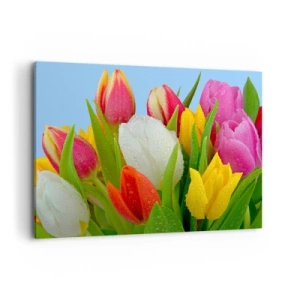 Canvas picture - Floral Rainbow in Dew Drops - 100x70 cm