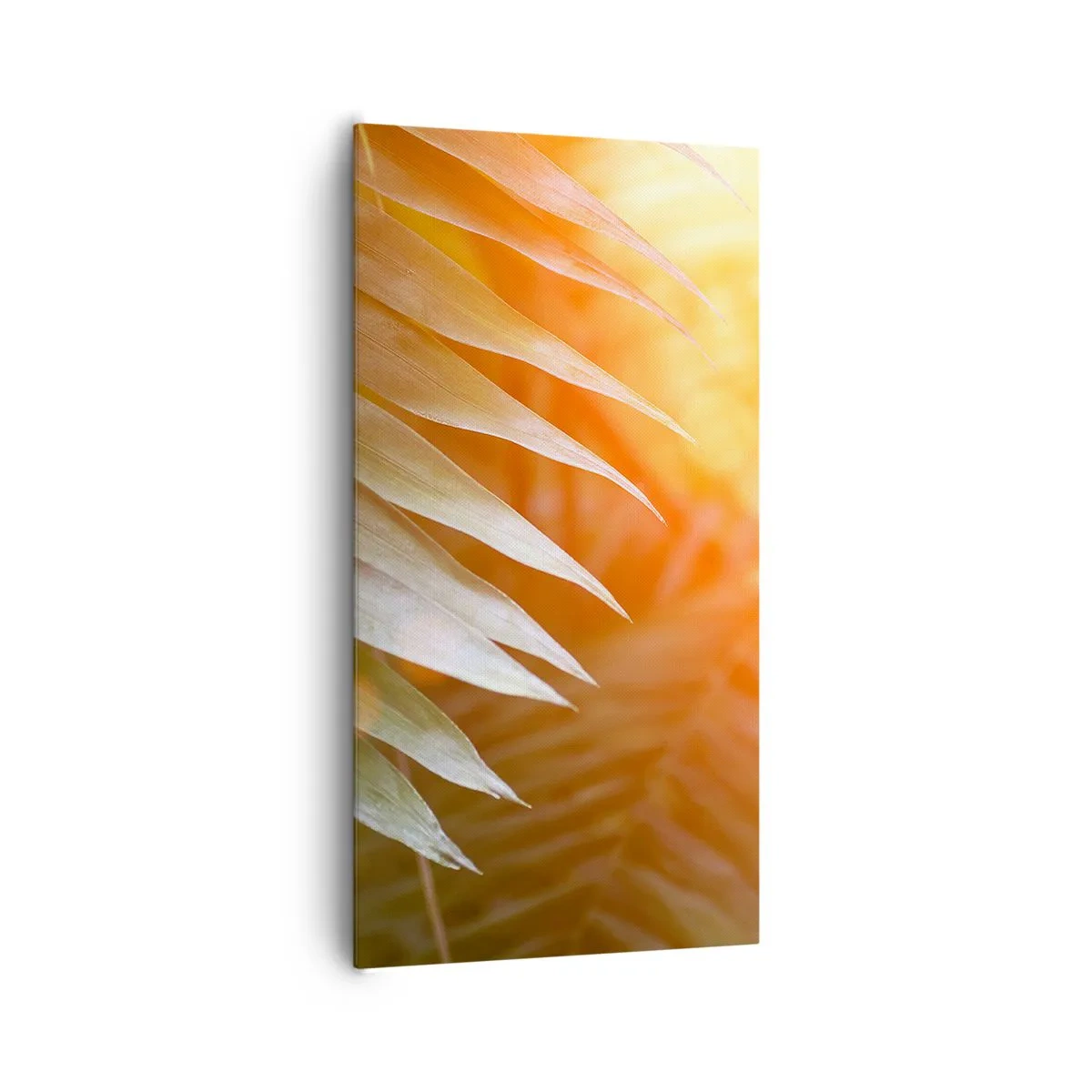 Canvas picture - Morning in the Jungle - 65x120 cm