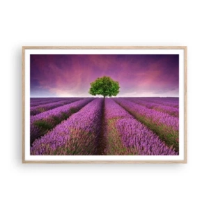 Poster in light oak frame - In the Fields of Lavender - 100x70 cm