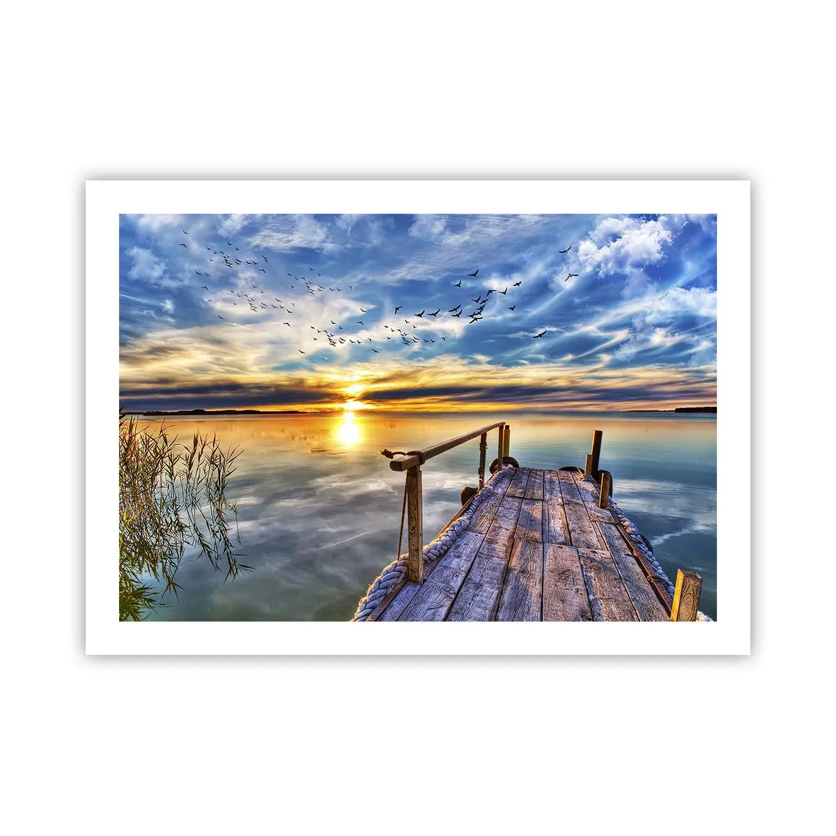 Poster - Wind is Taking a Break - 70x50 cm