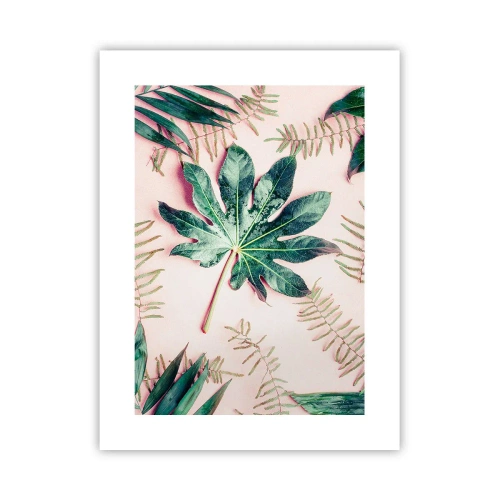 Poster - Study in Green on Pink Background - 30x40 cm