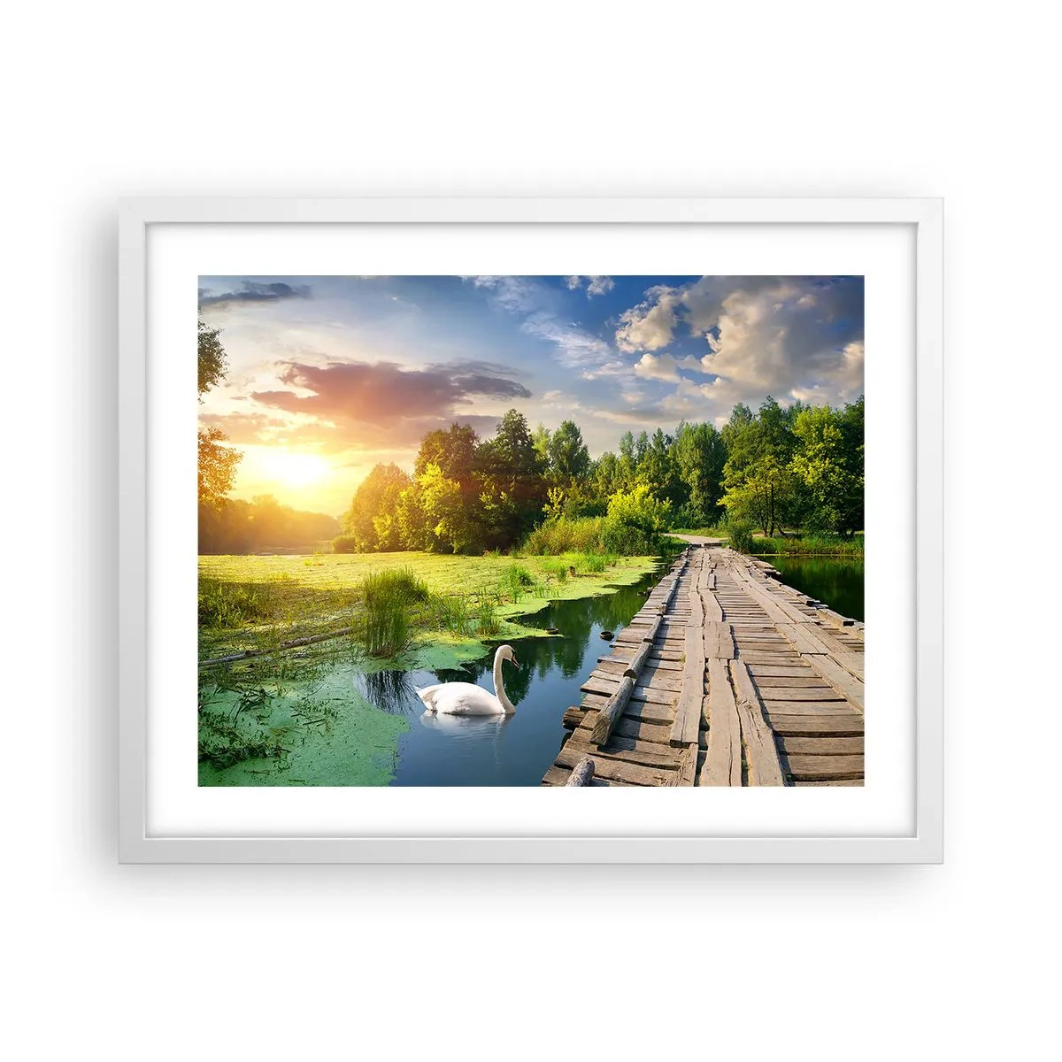 Poster in white frmae - Summer Everywhere - 50x40 cm