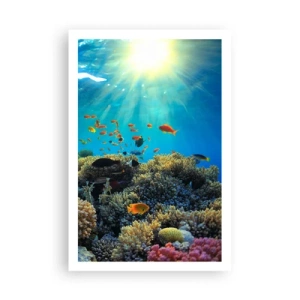 Poster - Underwater Treasures - 61x91 cm