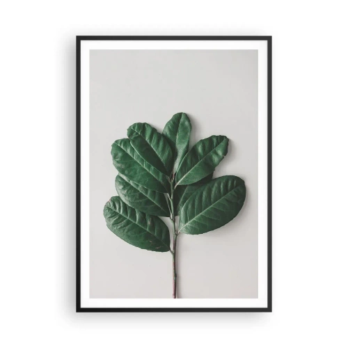 Poster in black frame - Drawing of Nature Itself - 70x100 cm