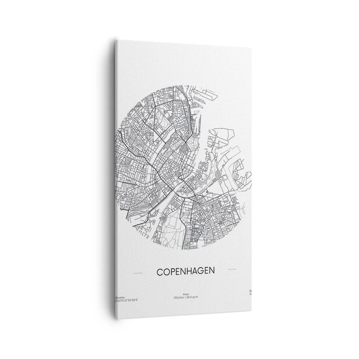 Canvas picture - Anatomy of Copenhagen - 55x100 cm
