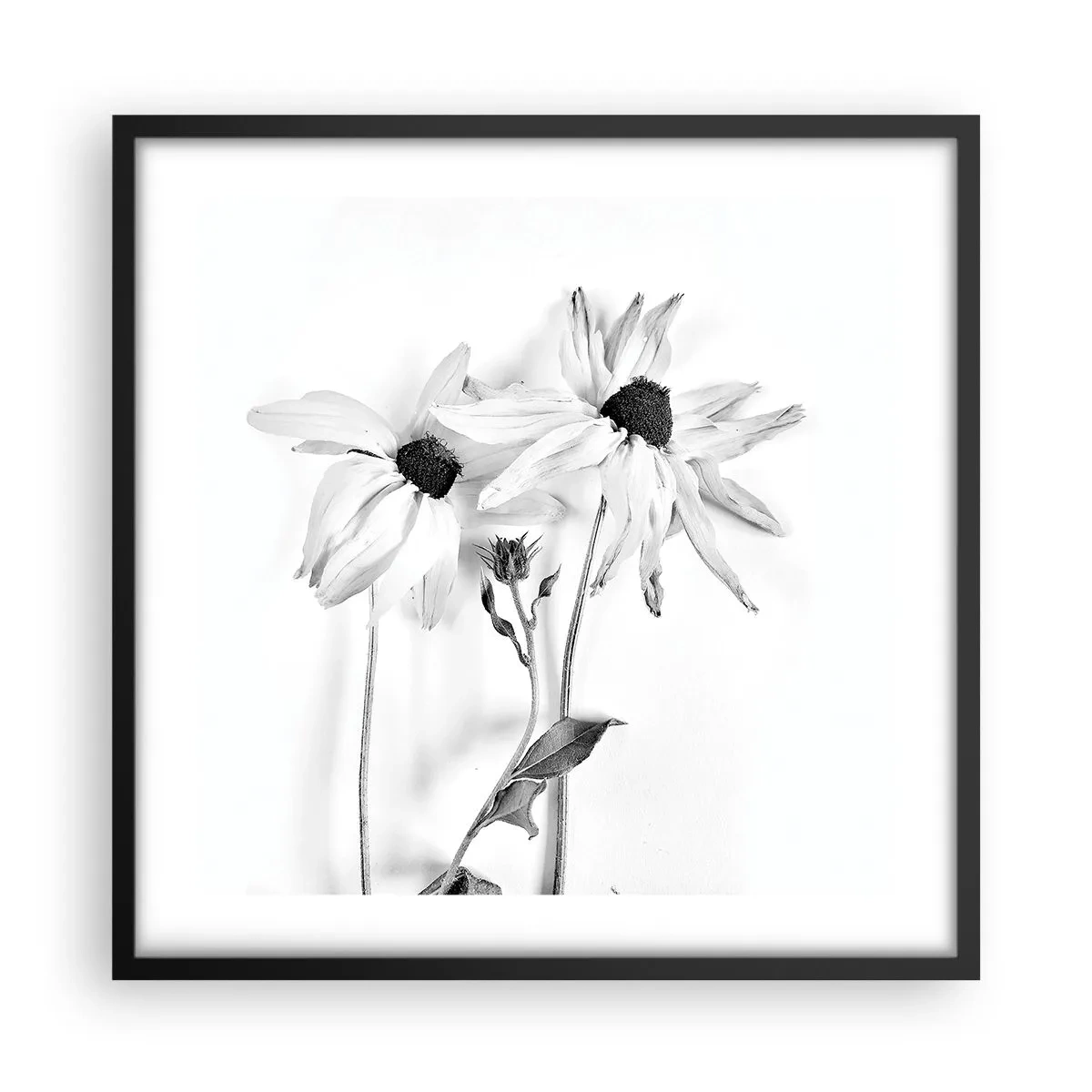 Poster in black frame - No one Wants To Be Alone - 50x50 cm