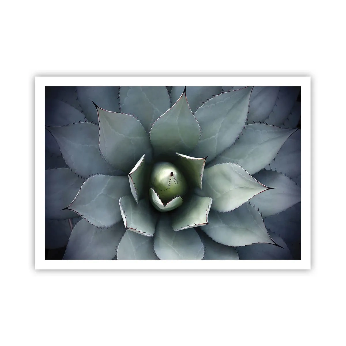 Poster - Attracts and Warns - 100x70 cm