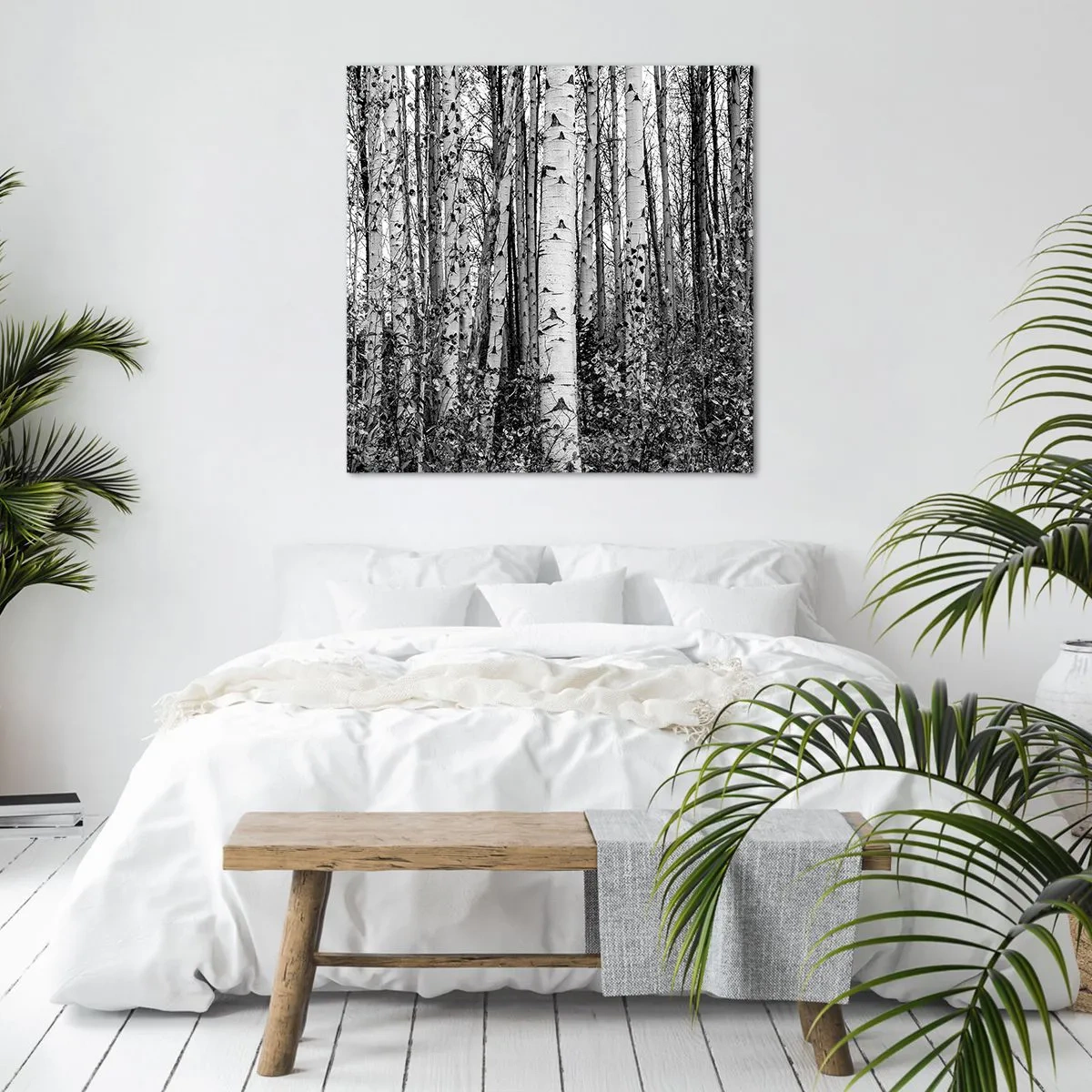 Canvas picture - Birch Colonnade - 30x30 cm