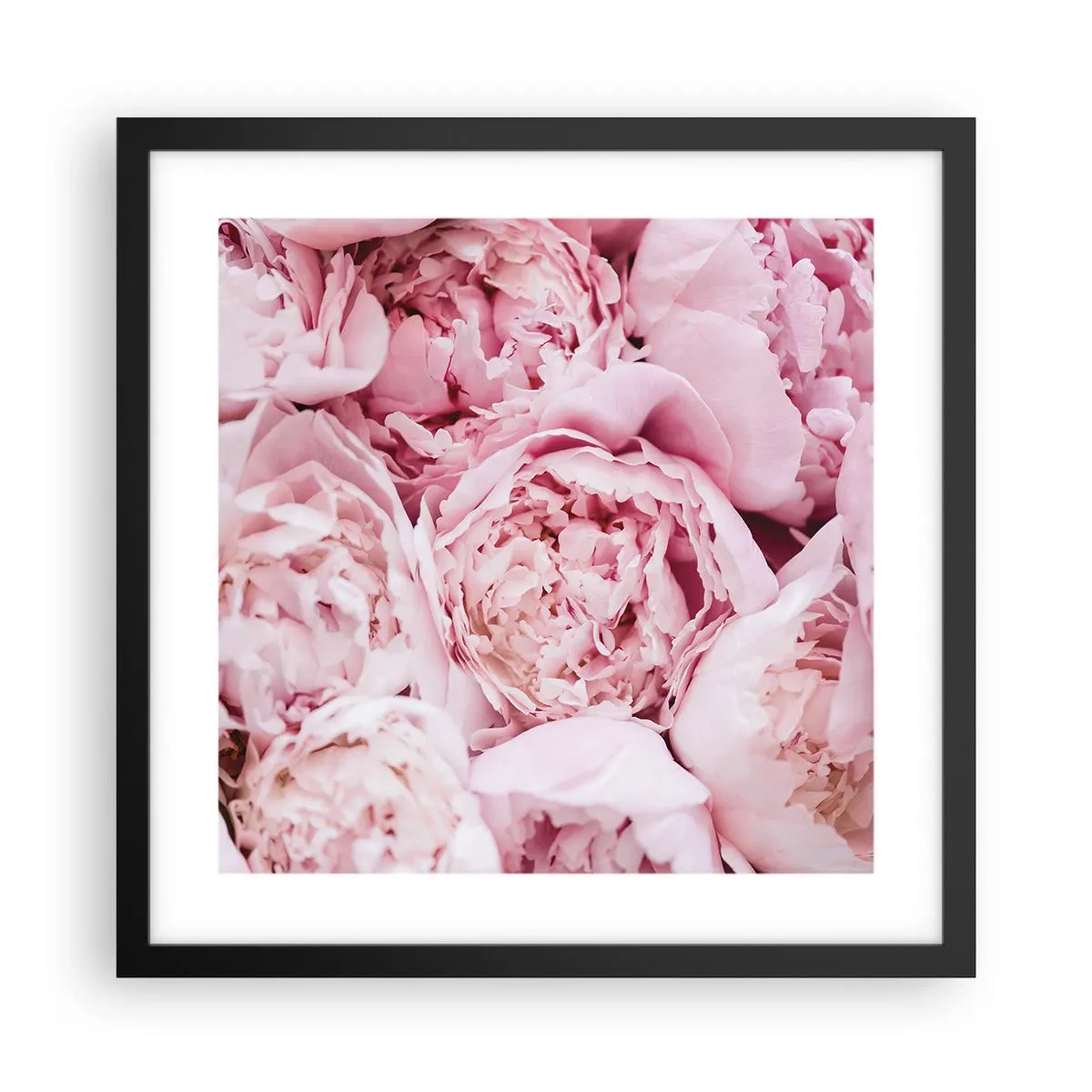 Poster in black frame - Cuddly and Fragrant - 40x40 cm