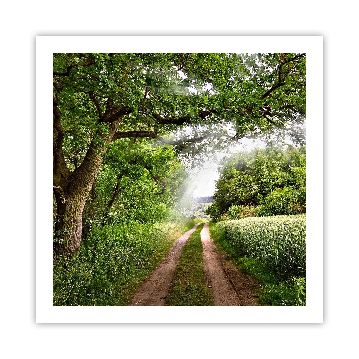 Poster - Et in Arcadia Ego - 60x60 cm