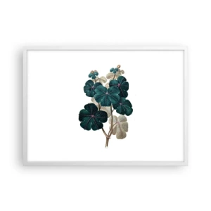 Poster in white frmae - From the Old Herbarium - 70x50 cm